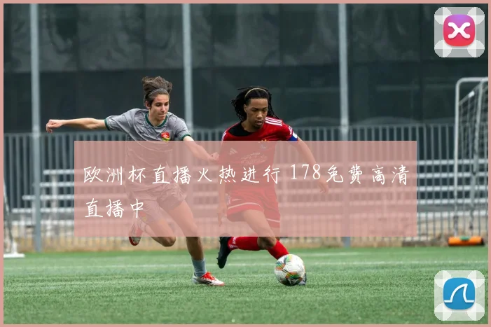 欧洲杯直播火热进行 178免费高清直播中