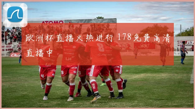 欧洲杯直播火热进行 178免费高清直播中